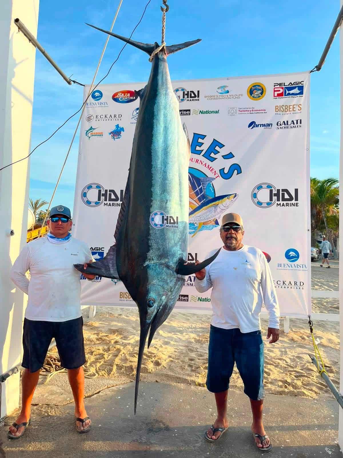 Bisbee tournament East Cape catch Los Cabos August 2026 marlin Daliken Sportfishing