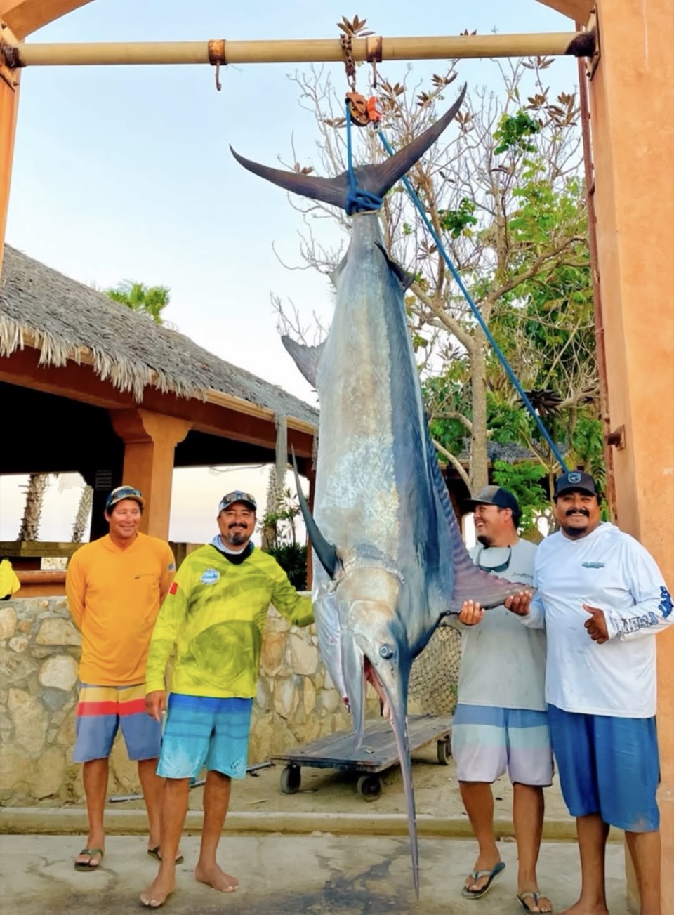 Black marlin Gordo Banks Los Cabos August 9 2026 Daliken Sportfishing offshore