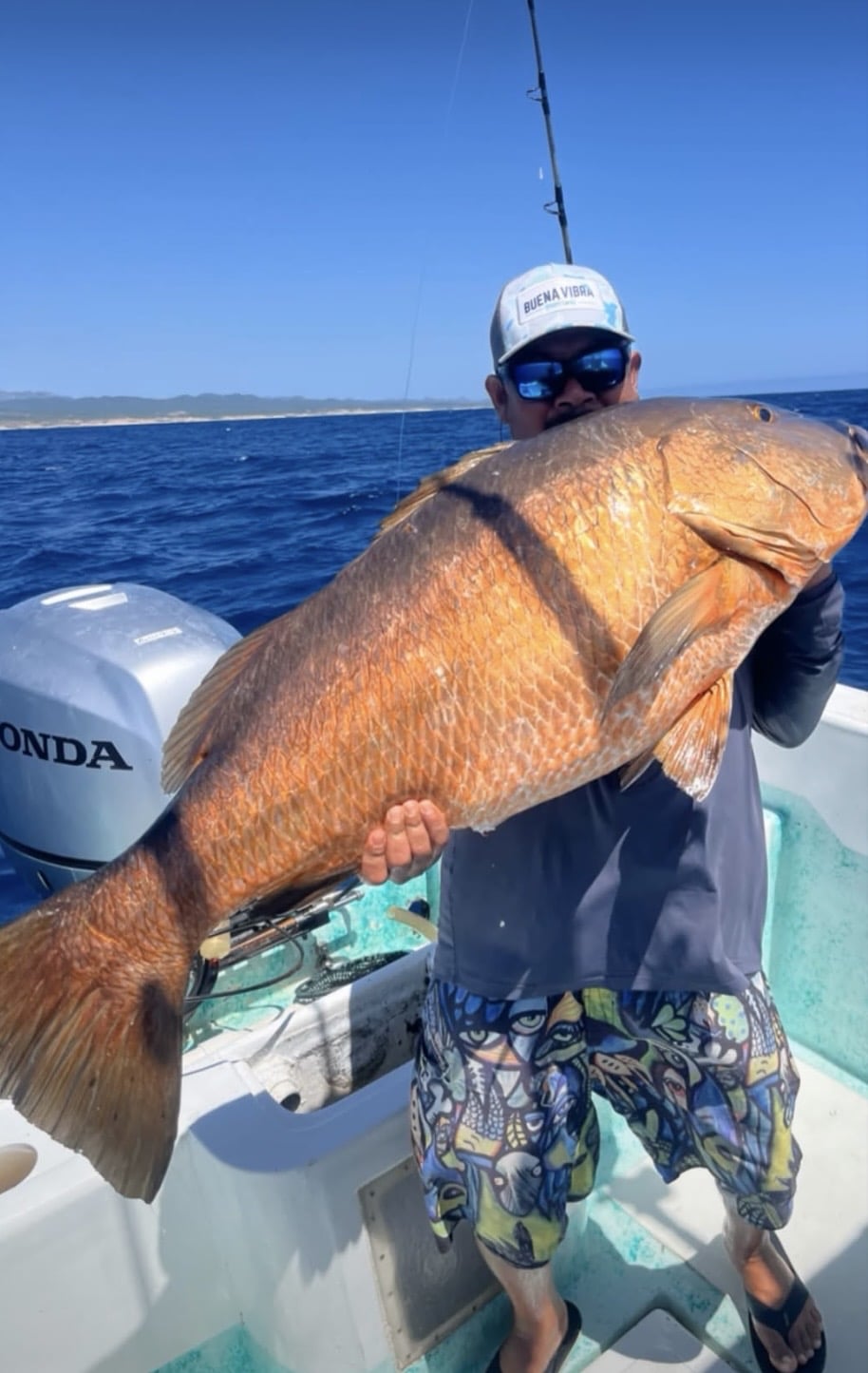 Captain Pancho Daliken Sportfishing Los Cabos September 20 2026 yellowfin tuna Puerto Los Cabos Marina