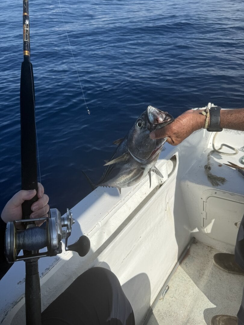 Roosterfish Secrets to Punta Gorda shoreline Los Cabos September 13 2026 Daliken Sportfishing